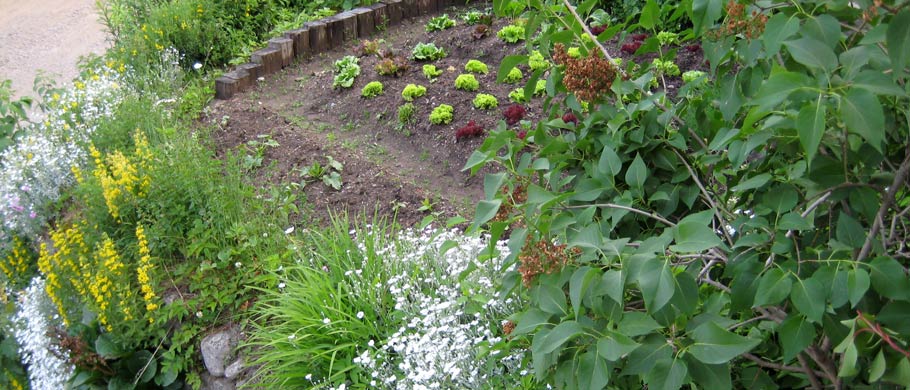 Weissenbach und Umgebung